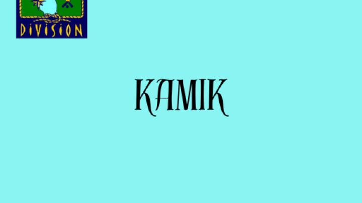 KAMIK