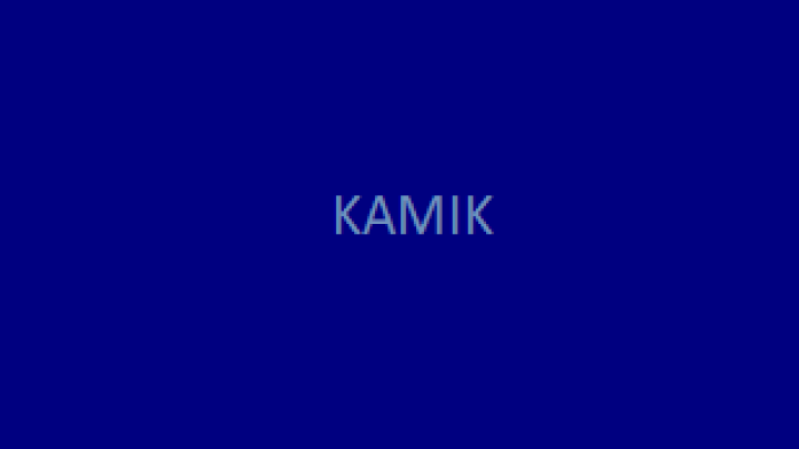 KAMIK